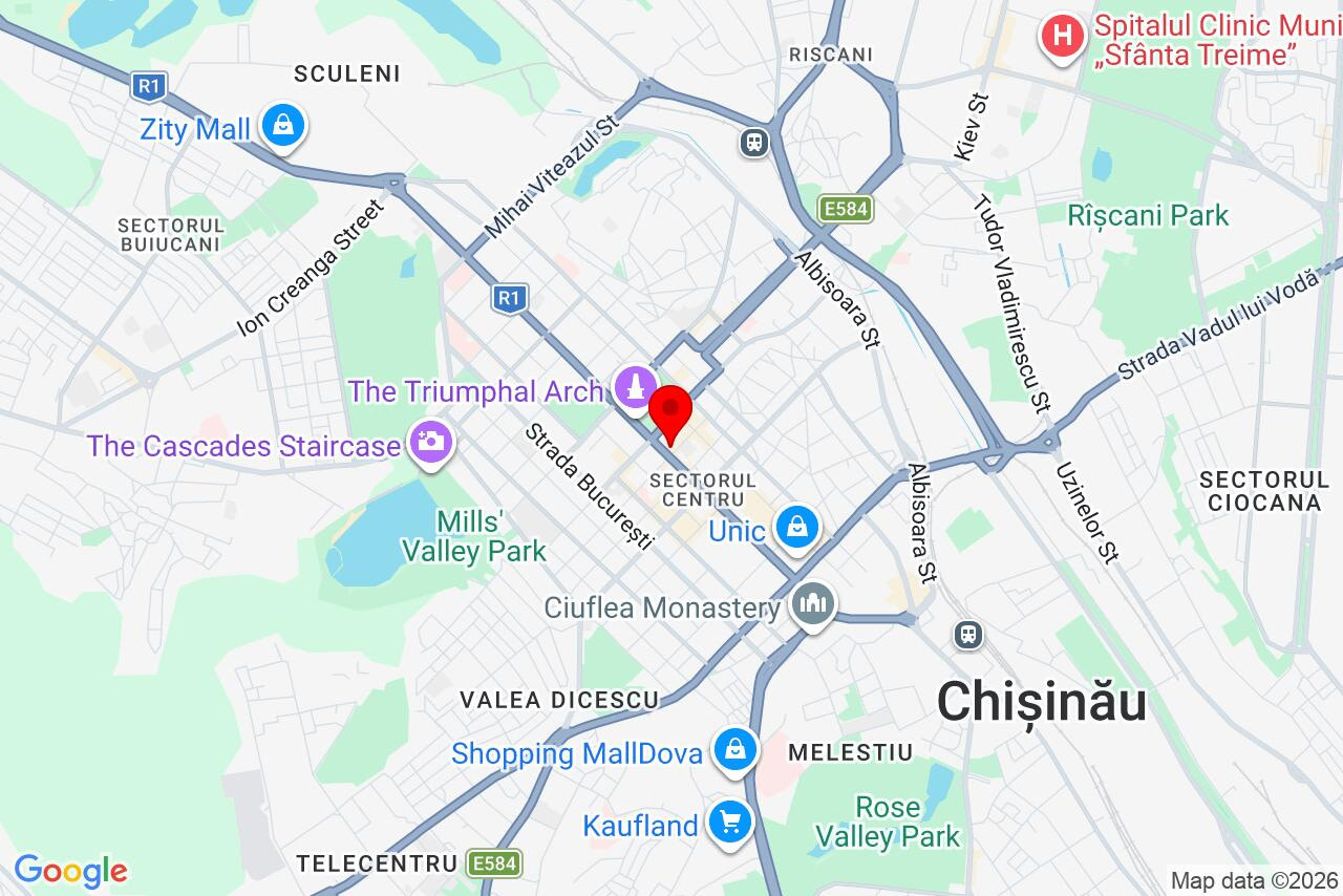 Google Map