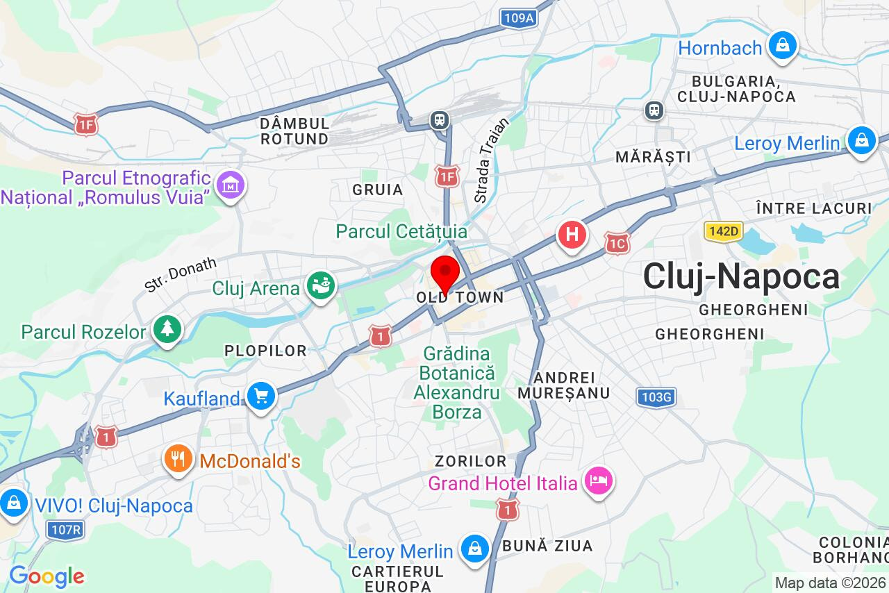Google Map