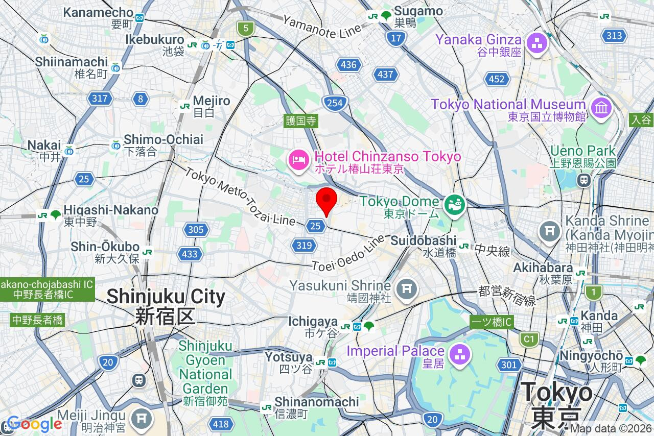 Google Map